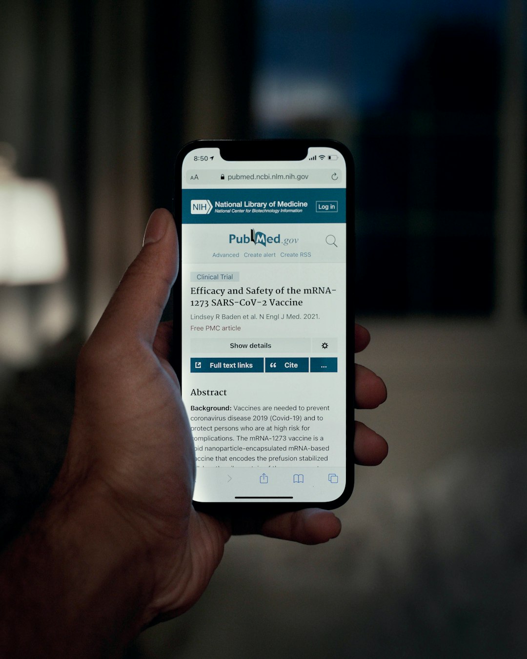 Команда AI Оптимизация